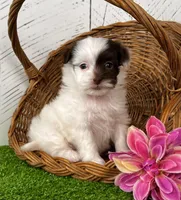 processed/9e1930ee-c261-43e6-9134-0edcfb3a4f69/listing/6cf669ec-2963-4cee-8bb1-6ea72b13200d/8102eaa7-3129-4dae-8f62-297b97c42325