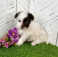 processed/9e1930ee-c261-43e6-9134-0edcfb3a4f69/listing/6cf669ec-2963-4cee-8bb1-6ea72b13200d/d32d1e56-52e0-4faa-b3db-c1245f1c4710