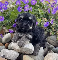 processed/9e1930ee-c261-43e6-9134-0edcfb3a4f69/listing/7def41c6-52c9-4d17-a27a-0e961d51968c/4c9efa1f-e27a-4d4f-87f5-988803a5431f