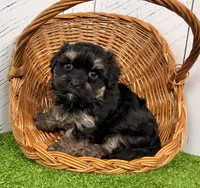 processed/9e1930ee-c261-43e6-9134-0edcfb3a4f69/listing/7def41c6-52c9-4d17-a27a-0e961d51968c/594aaf23-76f9-464c-8730-b8d4926a50a7