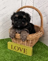 processed/9e1930ee-c261-43e6-9134-0edcfb3a4f69/listing/7def41c6-52c9-4d17-a27a-0e961d51968c/97b1efec-927b-4281-bcd1-6b6cdb761c12