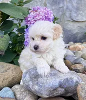 processed/9e1930ee-c261-43e6-9134-0edcfb3a4f69/listing/954baef6-8811-4340-8d0b-0f612072eff0/51aed421-d7e6-4290-baa9-ceff3fd246e1