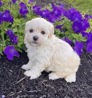 processed/9e1930ee-c261-43e6-9134-0edcfb3a4f69/listing/954baef6-8811-4340-8d0b-0f612072eff0/83dd2a56-1448-405e-aaf6-af4bb8bfeb4f