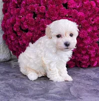 processed/9e1930ee-c261-43e6-9134-0edcfb3a4f69/listing/954baef6-8811-4340-8d0b-0f612072eff0/a0124811-f84c-48ac-95cb-c1f707bcdca6