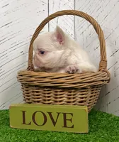 processed/9e1930ee-c261-43e6-9134-0edcfb3a4f69/listing/9ba6f5bb-6aad-4c5f-b0a2-dfdd3ebc20f9/31bc2d3a-57ea-40d0-afb4-2743e6f4a391