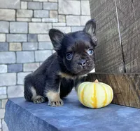 processed/9e1930ee-c261-43e6-9134-0edcfb3a4f69/listing/9f84c1fe-2f56-485a-aaa9-93d3e31d87db/1b277e5c-ba1f-4169-a3bd-934ccc90c686