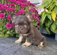 processed/9e1930ee-c261-43e6-9134-0edcfb3a4f69/listing/9f84c1fe-2f56-485a-aaa9-93d3e31d87db/7ecb6f80-26e5-461c-bb83-94c122f60e5f