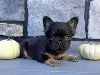 processed/9e1930ee-c261-43e6-9134-0edcfb3a4f69/listing/9f84c1fe-2f56-485a-aaa9-93d3e31d87db/a48bfcea-b970-4d31-8f5f-d66780505b9d