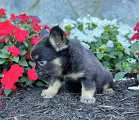 processed/9e1930ee-c261-43e6-9134-0edcfb3a4f69/listing/9f84c1fe-2f56-485a-aaa9-93d3e31d87db/eeba19e6-5152-4804-87c2-71e857861101