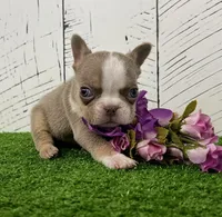 processed/9e1930ee-c261-43e6-9134-0edcfb3a4f69/listing/dbe4372f-4b84-43f6-8f6b-b8707e142a33/b1af00f8-8739-4d07-9499-75523bd91bce