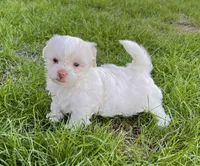 processed/9e1930ee-c261-43e6-9134-0edcfb3a4f69/listing/dca530a8-dc67-4dc1-8fbb-f29fa96d64a7/81499300-855a-4cf9-8c4e-f4f488f87809