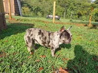 processed/9e2ca945-1e7a-4cd1-bef9-909b61567dfc/facility/23f81f3a-4bae-4642-8587-92d7c69d80b8