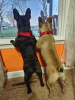 processed/9e2ca945-1e7a-4cd1-bef9-909b61567dfc/facility/3c39ed2f-bf33-4c59-9348-3e015c932d16