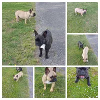 processed/9e2ca945-1e7a-4cd1-bef9-909b61567dfc/facility/5566324b-4879-4c0d-a126-9a1d071309ca