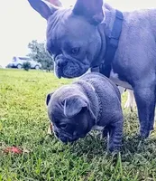 processed/9e2ca945-1e7a-4cd1-bef9-909b61567dfc/facility/656719d5-b238-44e8-a92b-2638046fcaa4