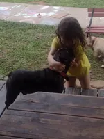 processed/9e2ca945-1e7a-4cd1-bef9-909b61567dfc/facility/764a7628-f246-4608-9d4c-1703ccc332ec