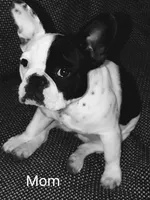 processed/9e2ca945-1e7a-4cd1-bef9-909b61567dfc/facility/77be5aae-710f-47b1-805e-dfb74c9a5855