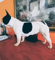 processed/9e2ca945-1e7a-4cd1-bef9-909b61567dfc/facility/ab443947-62cf-441d-86c7-813e7a7a564d