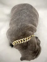 Rocky , a male French Bulldog for sale in Asheboro, NC – Photo 3 of 9