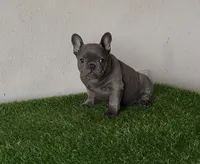 processed/9e3388e1-2879-4e89-889b-48a5e49da545/listing/162f75f5-6447-4e67-b74e-3054334f3c85/5c602912-60ea-483a-a7e9-3d4cecc8c80f