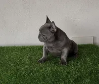 processed/9e3388e1-2879-4e89-889b-48a5e49da545/listing/162f75f5-6447-4e67-b74e-3054334f3c85/a80c5355-f8e4-404e-84ed-f0ee0a8eb3ca