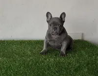 processed/9e3388e1-2879-4e89-889b-48a5e49da545/listing/162f75f5-6447-4e67-b74e-3054334f3c85/e98e16c0-f235-4153-8ac5-8786ba71f17a