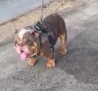 processed/9e3388e1-2879-4e89-889b-48a5e49da545/listing/de7019bb-078f-4c29-bd8c-4df7174207b8/78dec584-cfe7-4f42-b4ca-40a83265940a