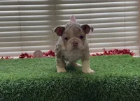 processed/9e3388e1-2879-4e89-889b-48a5e49da545/listing/de7019bb-078f-4c29-bd8c-4df7174207b8/bf30781a-bbd2-49d7-b95c-316dea119830