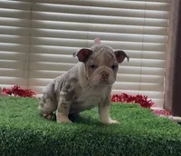 processed/9e3388e1-2879-4e89-889b-48a5e49da545/listing/de7019bb-078f-4c29-bd8c-4df7174207b8/e4db8251-1ad9-4cde-b5aa-289969700226