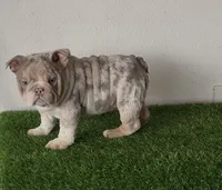 processed/9e3388e1-2879-4e89-889b-48a5e49da545/listing/f81add08-ee67-402a-8d22-3b548cfce382/5089a8ab-bd91-41ca-8311-7a655f5105c7