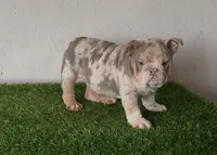 processed/9e3388e1-2879-4e89-889b-48a5e49da545/listing/f81add08-ee67-402a-8d22-3b548cfce382/6f5ce8cd-233f-4c5c-9454-e8b38e4b0565