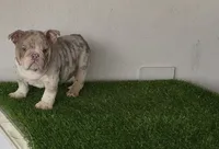 processed/9e3388e1-2879-4e89-889b-48a5e49da545/listing/f81add08-ee67-402a-8d22-3b548cfce382/bbccf54e-2496-4d0f-afa5-48cfb2920e0c