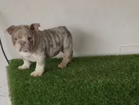 processed/9e3388e1-2879-4e89-889b-48a5e49da545/listing/f81add08-ee67-402a-8d22-3b548cfce382/c7a71d68-219c-4d63-8382-10af0c268251