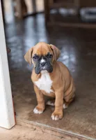 processed/9e397500-8df3-4cd7-bb34-d4b2ba8816f7/listing/06f1e1e3-5fb6-463d-a880-45ee37ea1621/affc43dd-be04-4def-a05f-459b84315bdf