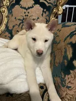 processed/9e3ffd64-3677-4f29-a3bd-5757c6326966/listing/6acc812d-1db6-454b-ba99-4462cc25b431/202d1c37-e50c-4355-8080-cbc6568a3296