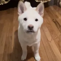 processed/9e3ffd64-3677-4f29-a3bd-5757c6326966/listing/6acc812d-1db6-454b-ba99-4462cc25b431/72bd2378-985e-45ca-8c56-fd0ef1f4c10b