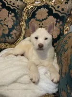 processed/9e3ffd64-3677-4f29-a3bd-5757c6326966/listing/6acc812d-1db6-454b-ba99-4462cc25b431/ada5b712-8c68-4918-9b86-5301703cd952