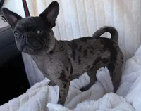 processed/9e402efc-41fd-4a27-8d83-91cc9b133346/listing/a9bf2662-669d-4b2d-b79a-271f99352274/661471c3-106f-41bf-a23d-3e2166ec6dad