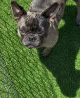 processed/9e402efc-41fd-4a27-8d83-91cc9b133346/listing/a9bf2662-669d-4b2d-b79a-271f99352274/8289ead6-ecd5-435d-a4b1-b03e92a3860b