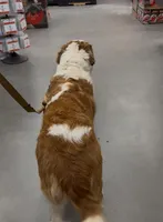 processed/9e402efc-41fd-4a27-8d83-91cc9b133346/listing/a9f08bb2-7d8a-4975-ba8c-b294afd5f55b/3f6ba10f-02d7-4da2-a3fc-356cd6258f1a