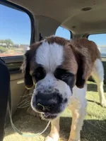 processed/9e402efc-41fd-4a27-8d83-91cc9b133346/listing/a9f08bb2-7d8a-4975-ba8c-b294afd5f55b/70b3bde7-218c-4eeb-83ce-a0b66559a5c1