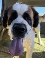 processed/9e402efc-41fd-4a27-8d83-91cc9b133346/listing/a9f08bb2-7d8a-4975-ba8c-b294afd5f55b/b6a7b2f3-08bf-4bf0-9746-c4378914b1e2