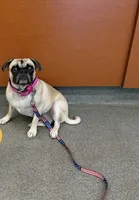 processed/9e402efc-41fd-4a27-8d83-91cc9b133346/listing/d322805c-61a8-4237-9c5f-32adbb3b7cf4/3acd36a1-b3e1-47fa-85ce-ffaf14d33fd2