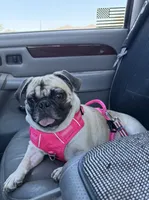 processed/9e402efc-41fd-4a27-8d83-91cc9b133346/listing/d322805c-61a8-4237-9c5f-32adbb3b7cf4/8489acf3-6fcd-48fd-a029-db3570af880a