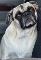 processed/9e402efc-41fd-4a27-8d83-91cc9b133346/listing/d322805c-61a8-4237-9c5f-32adbb3b7cf4/cbc52720-e193-4c91-b74b-672b2f3a7110