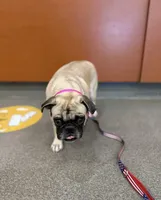 processed/9e402efc-41fd-4a27-8d83-91cc9b133346/listing/d322805c-61a8-4237-9c5f-32adbb3b7cf4/e0dfe604-4da0-4219-b1a7-fef9e7f83ce1