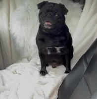 processed/9e402efc-41fd-4a27-8d83-91cc9b133346/listing/de0a7c01-12a4-4419-be16-4fd5a7197c8b/0b2e7776-a6ff-4760-a2bb-da4e4ea444e2