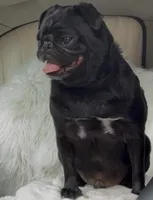 processed/9e402efc-41fd-4a27-8d83-91cc9b133346/listing/de0a7c01-12a4-4419-be16-4fd5a7197c8b/0c735a7e-7343-42fd-b852-d73d71e19ba2