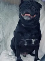 processed/9e402efc-41fd-4a27-8d83-91cc9b133346/listing/de0a7c01-12a4-4419-be16-4fd5a7197c8b/7fb1668a-b482-4de8-9e4b-9bb7e9ab6a42