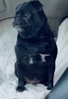 processed/9e402efc-41fd-4a27-8d83-91cc9b133346/listing/de0a7c01-12a4-4419-be16-4fd5a7197c8b/9bc17c9c-b106-478f-a2b6-99490ba27212